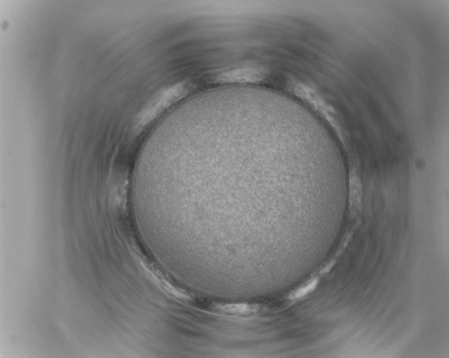 X0000059230153200510281914