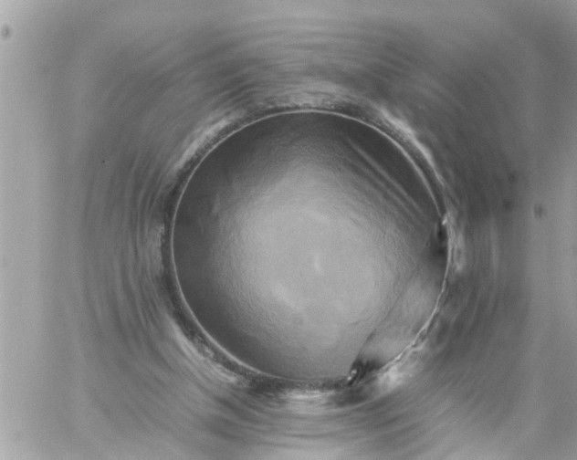 X0000059230154200510281914