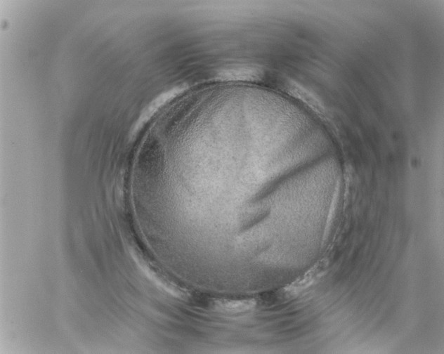 X0000059230155200510281914