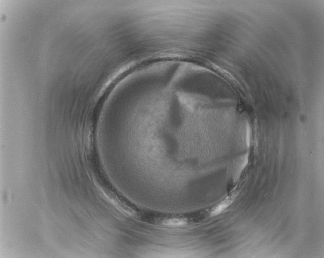 X0000059230156200510281914