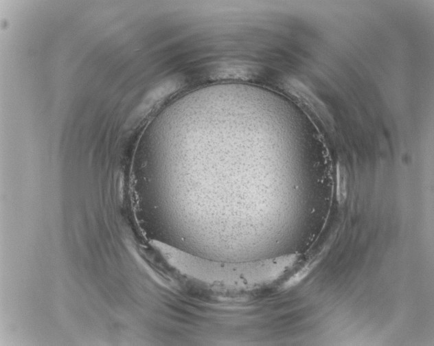 X0000059230157200510281914