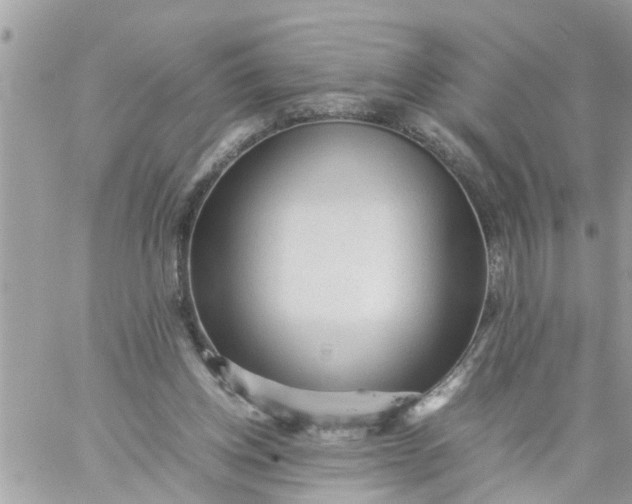 X0000059230158200510281914