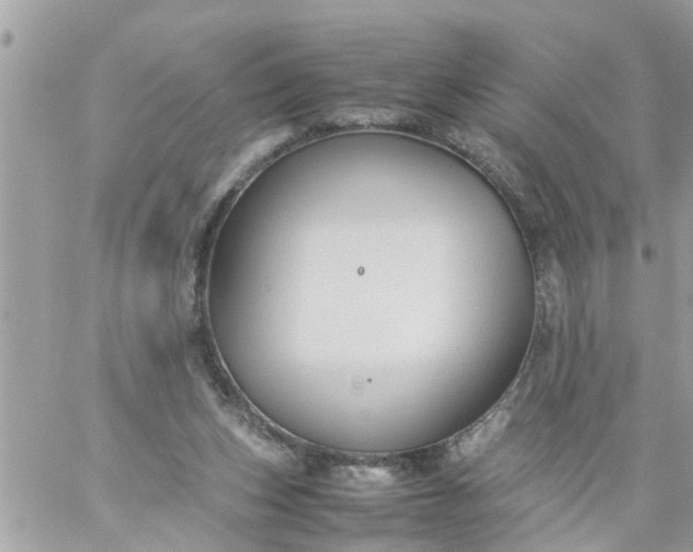 X0000059230159200510281914