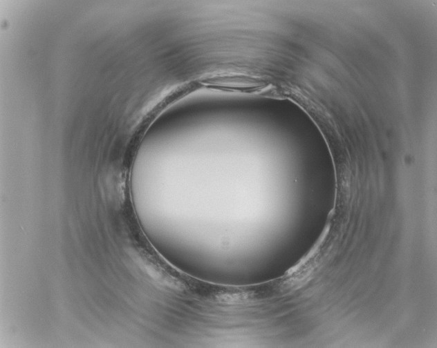 X0000059230160200510281914