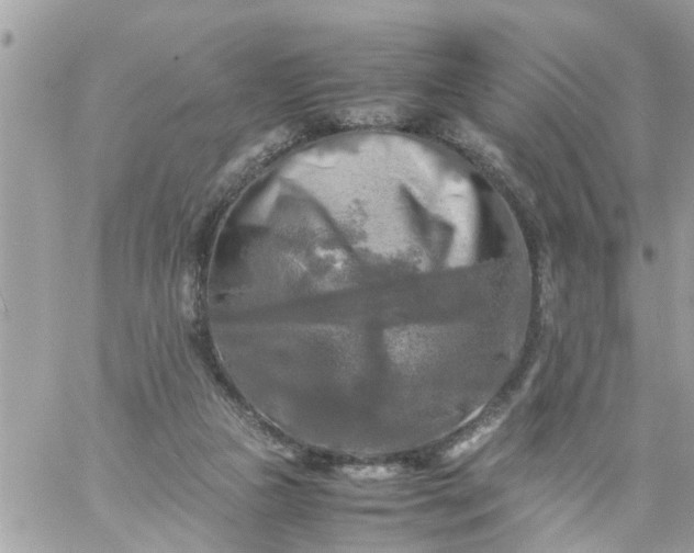 X0000059230161200510281914