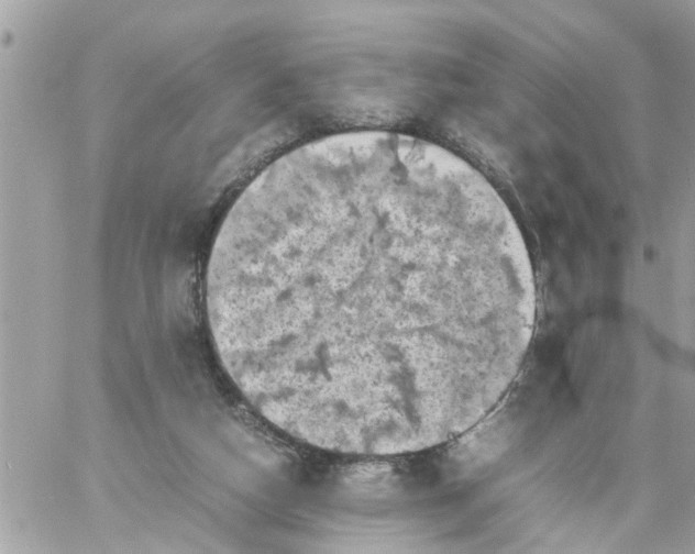 X0000059230162200510281914