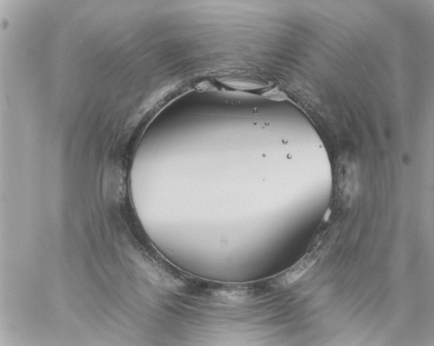 X0000059230164200510281914