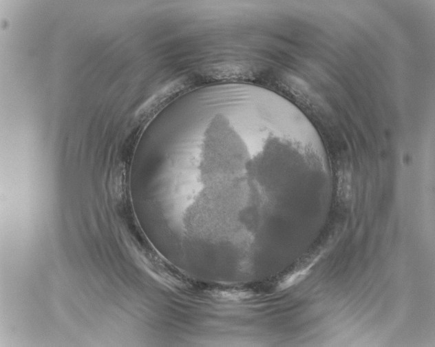 X0000059230165200510281914