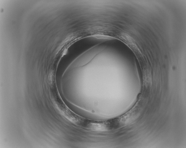 X0000059230167200510281914