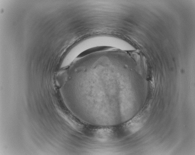 X0000059230168200510281914