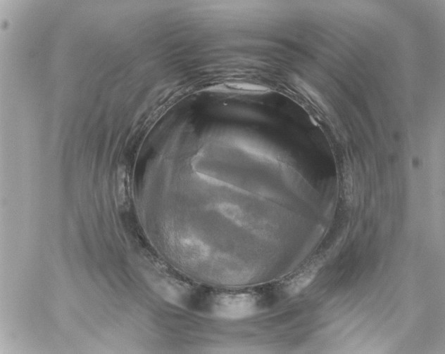 X0000059230169200510281914