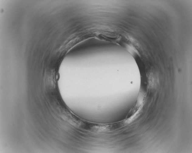 X0000059230170200510281914