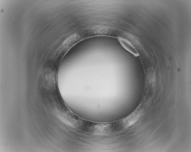 X0000059230172200510281914