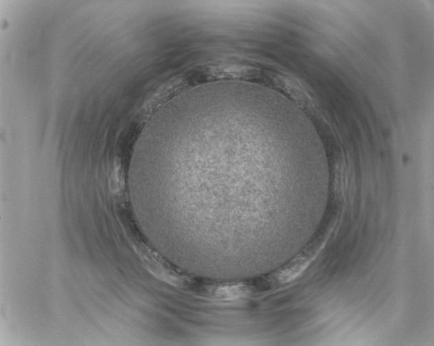 X0000059230173200510281914