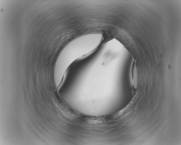 X0000059230175200510281914