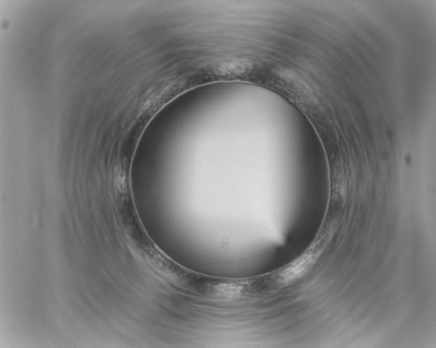 X0000059230176200510281914