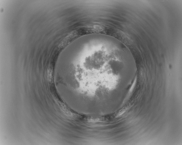 X0000059230177200510281914