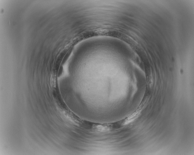 X0000059230180200510281914