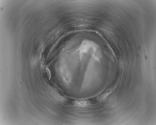 X0000059230181200510281914