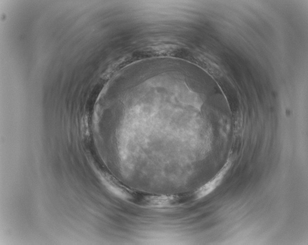 X0000059230182200510281914