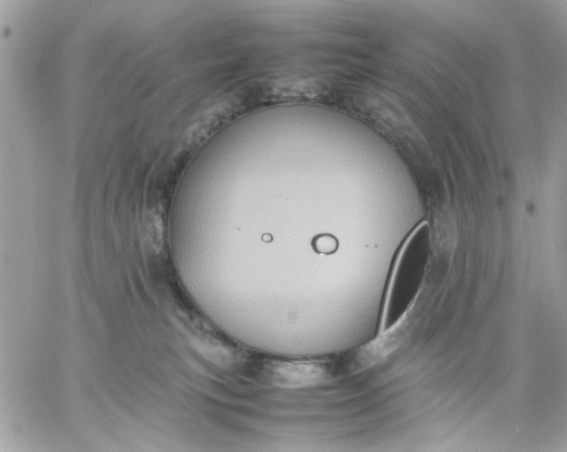 X0000059230183200510281914