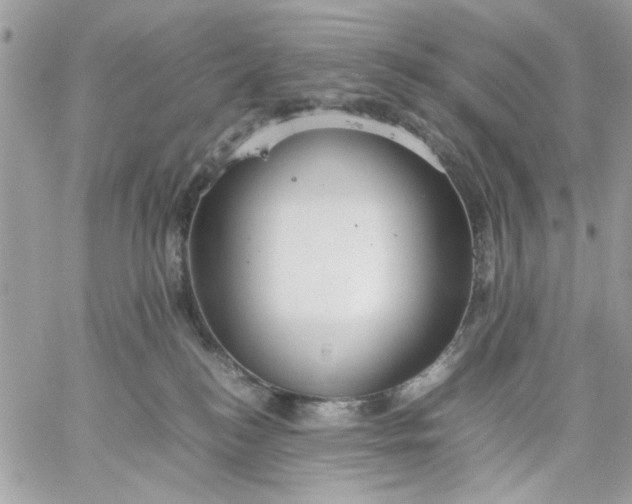 X0000059230184200510281914