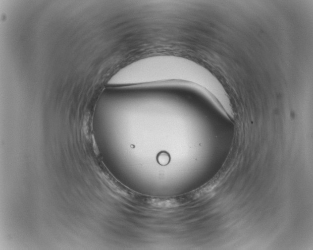 X0000059230185200510281914