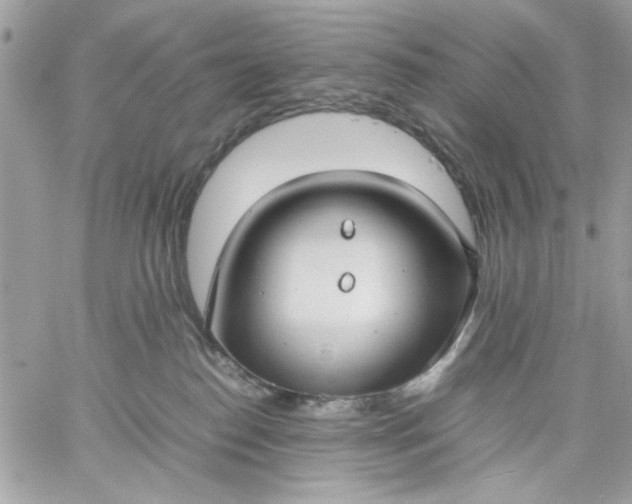 X0000059230186200510281915