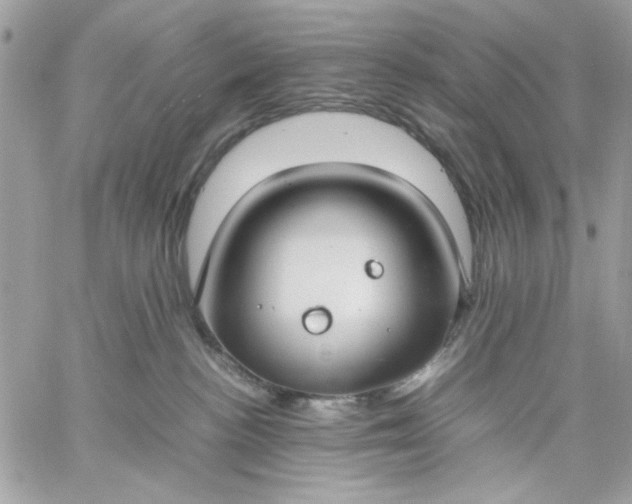 X0000059230188200510281915