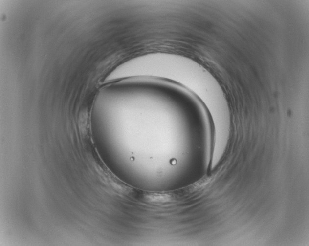 X0000059230189200510281915