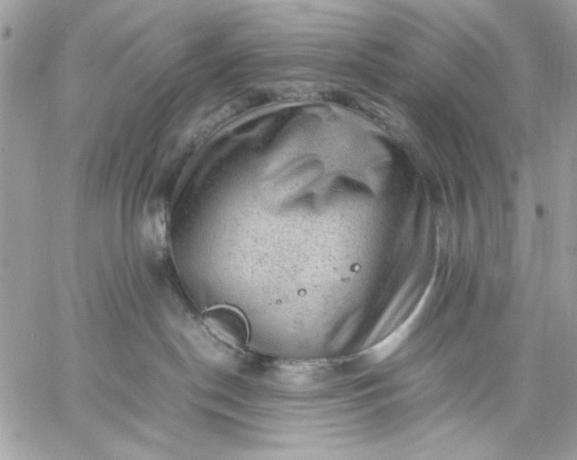 X0000059230190200510281915