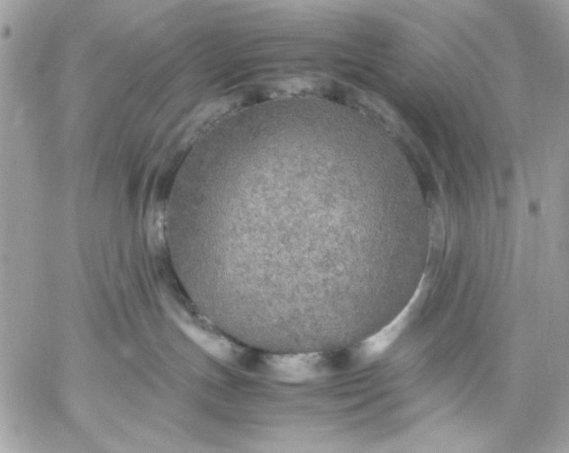 X0000059230191200510281915