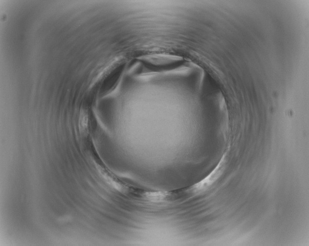 X0000059230192200510281915