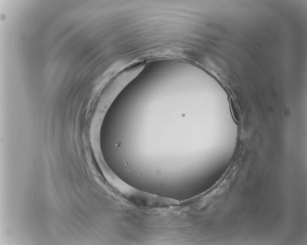 X0000059230193200510281914