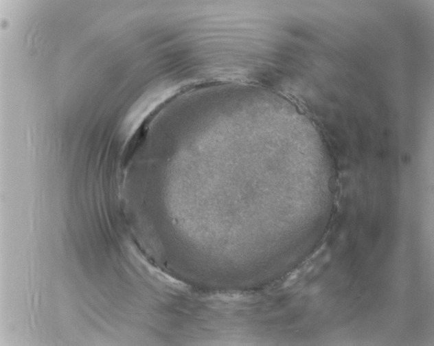 X0000059230194200510281914