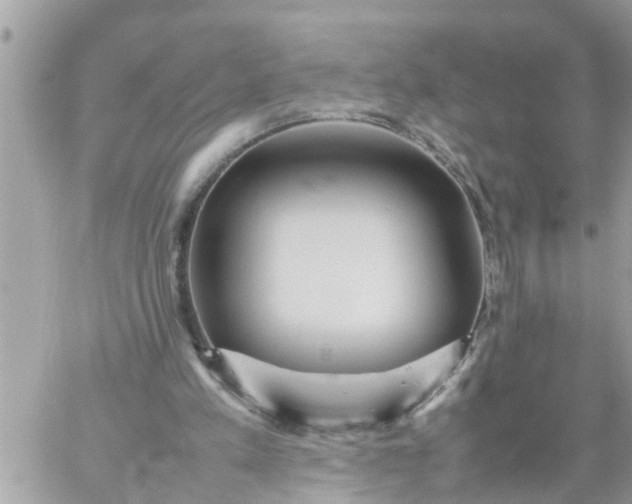 X0000059230197200510281914