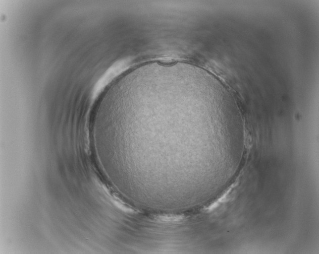 X0000059230198200510281914