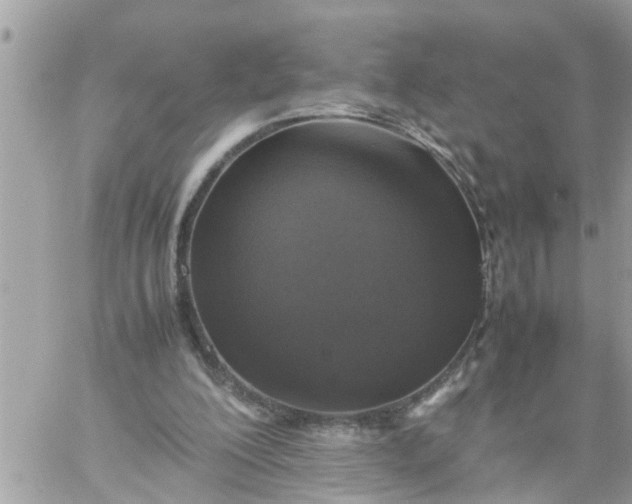 X0000059230200200510281914