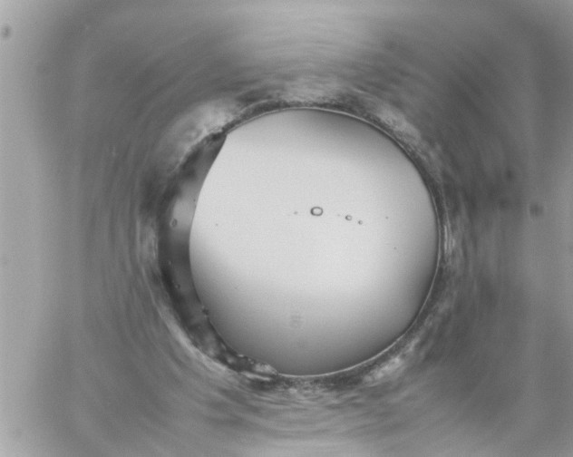 X0000059230201200510281914