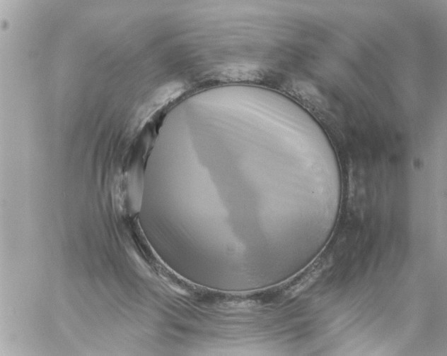 X0000059230202200510281914