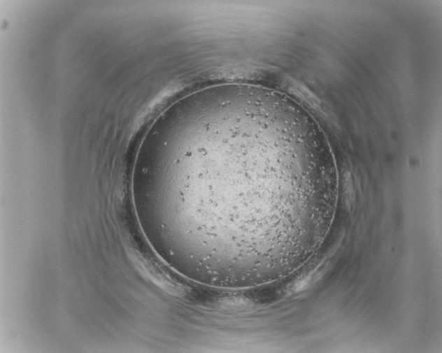 X0000059230203200510281914