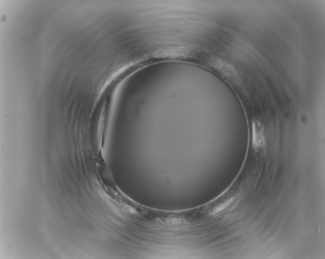 X0000059230204200510281914