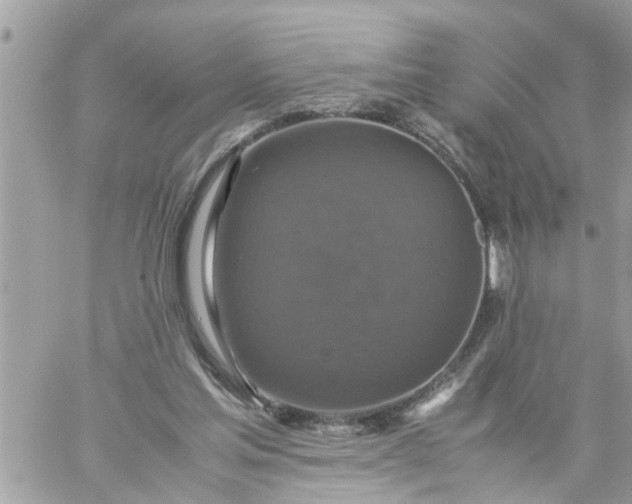 X0000059230205200510281914