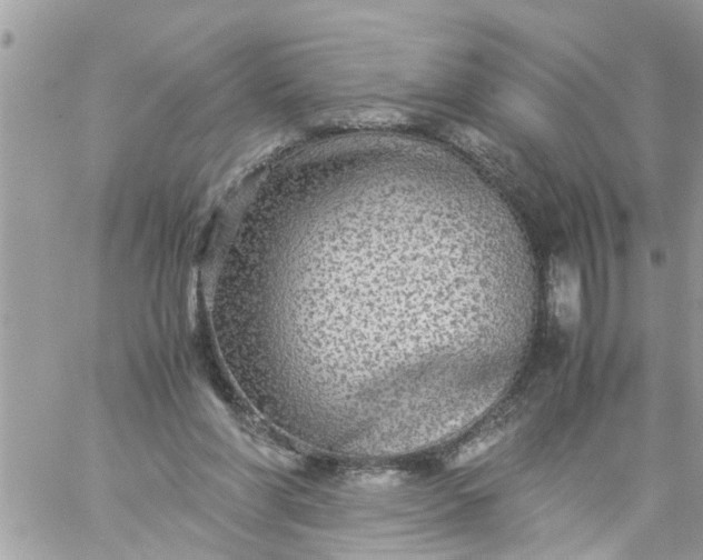 X0000059230206200510281914