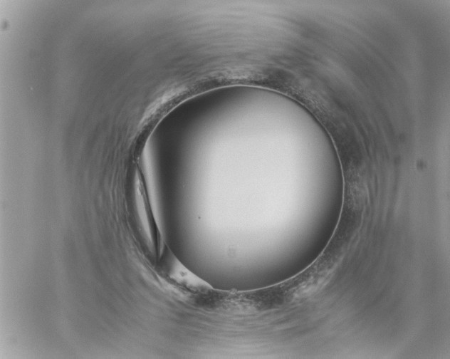 X0000059230207200510281914