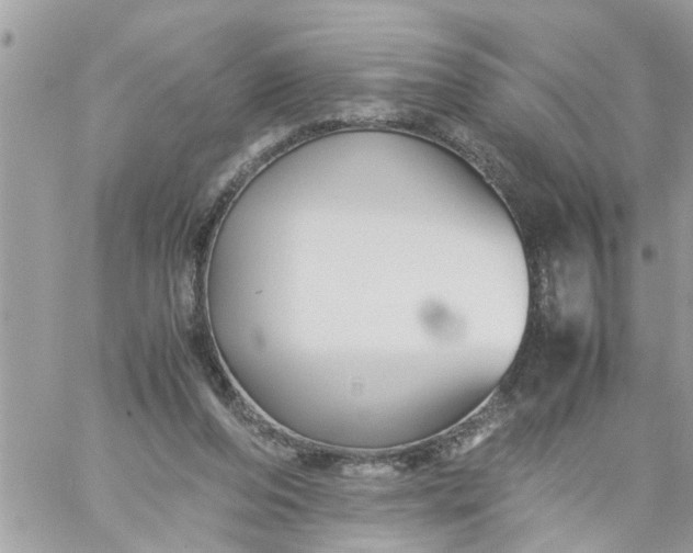 X0000059230208200510281914