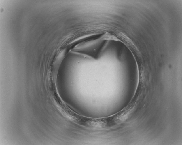 X0000059230209200510281914