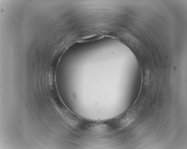 X0000059230210200510281914