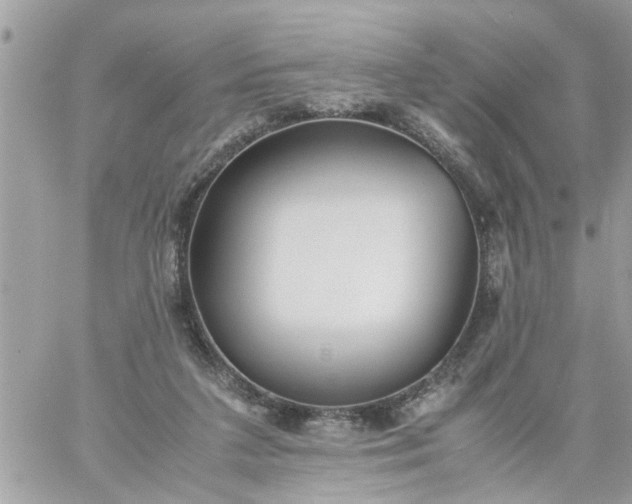 X0000059230211200510281914