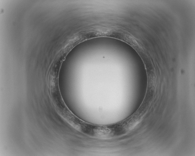 X0000059230215200510281913